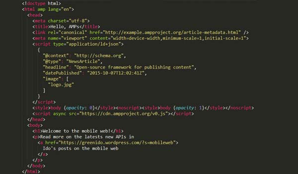 amp cho wordpress
