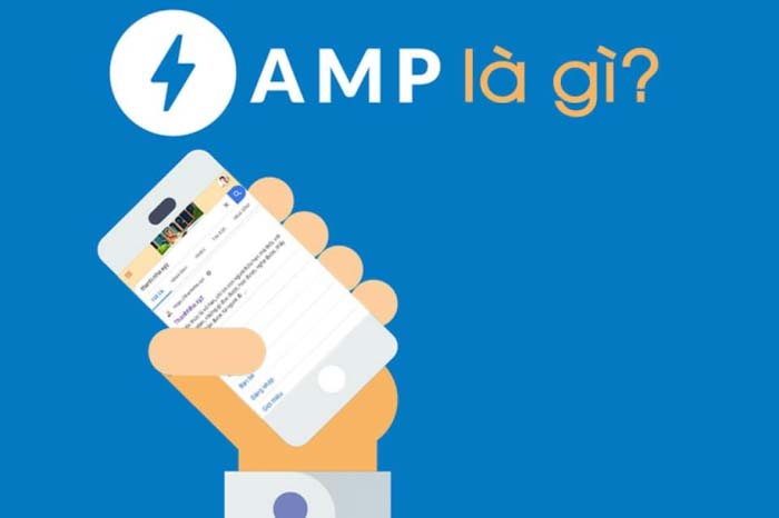 amp là gì