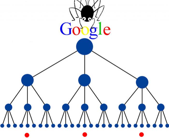 referring domains