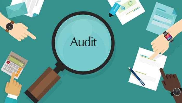 audit content la lam gi