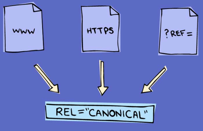 the canonical va sitemap