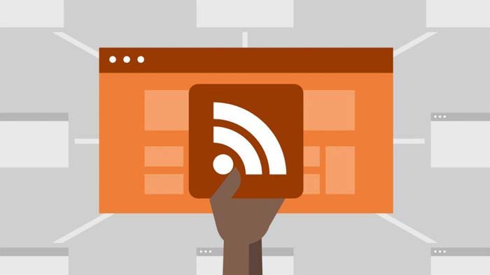 xay dung link building