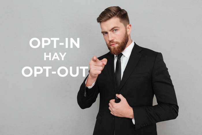 opt-in email marketing